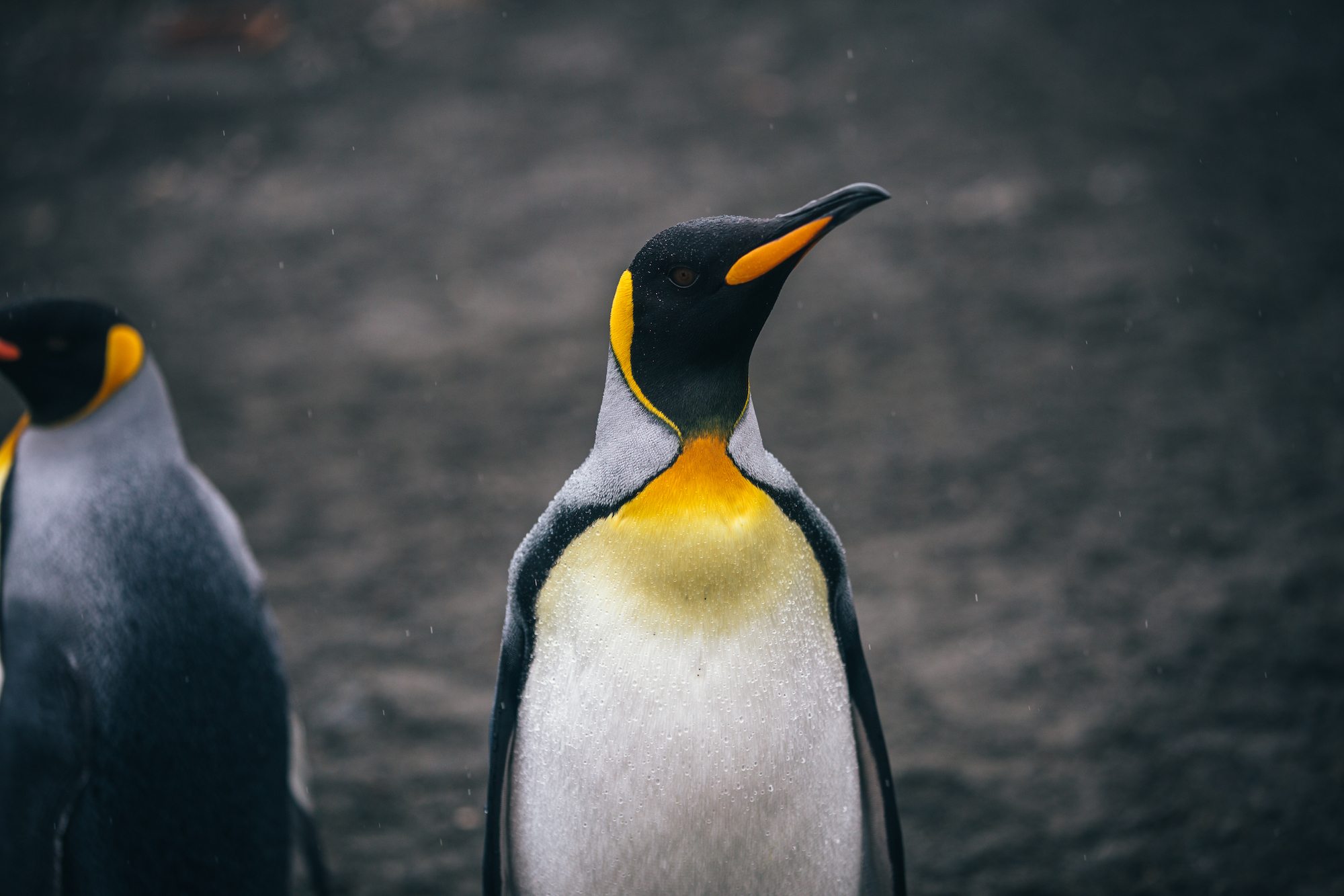 Antarctica is life-changing