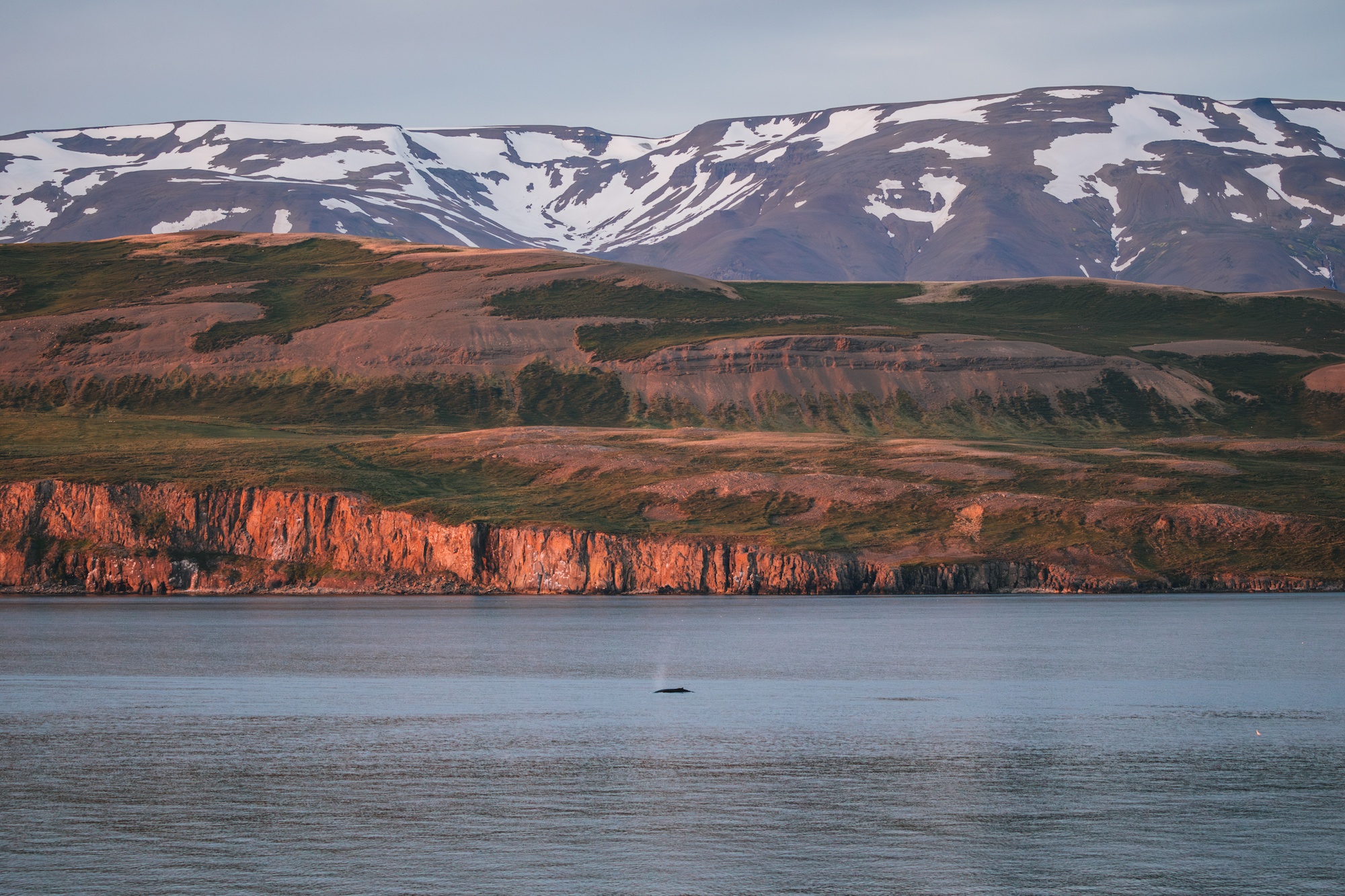 visit iceland by sea