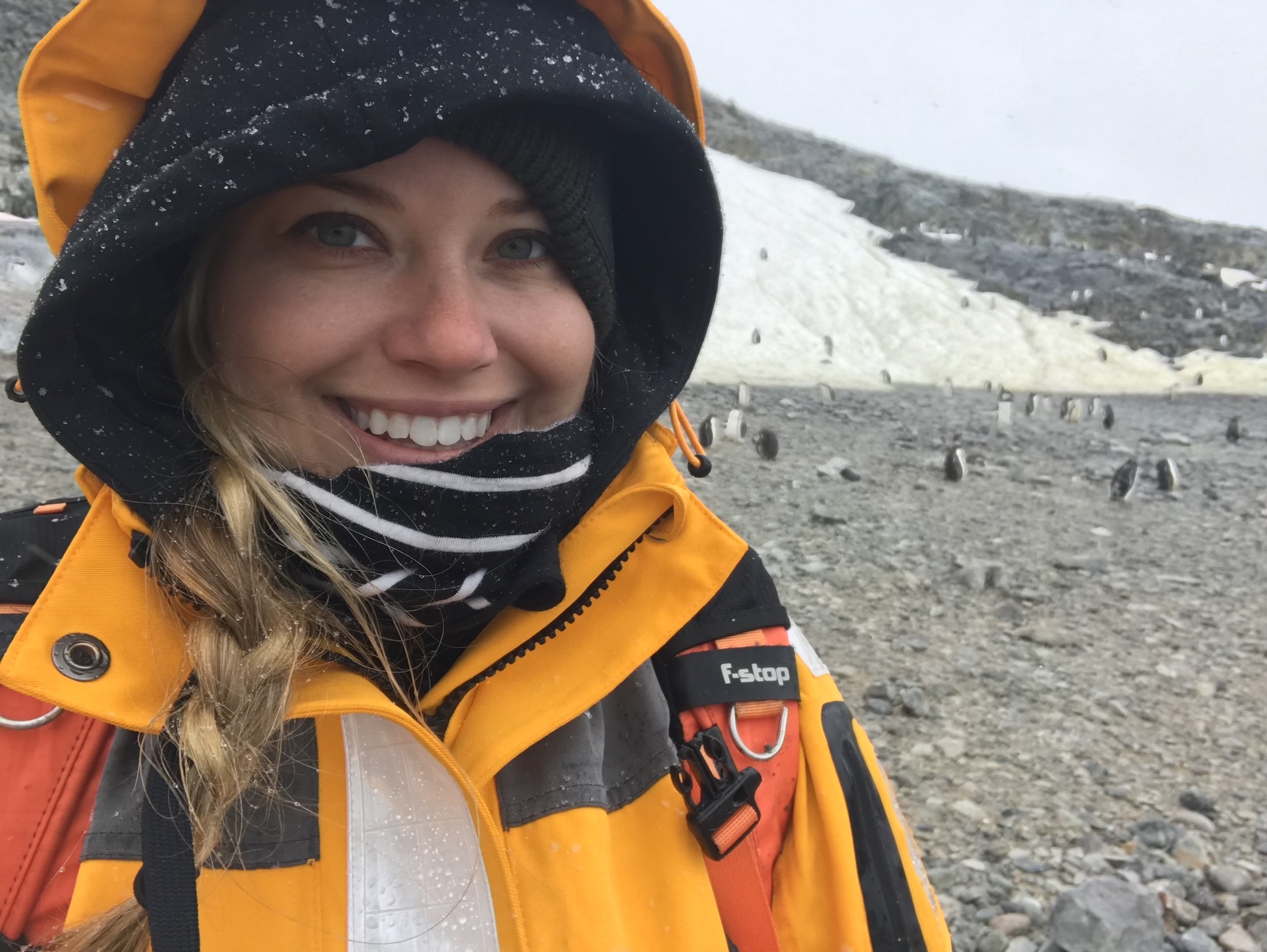 Antarctic explorers