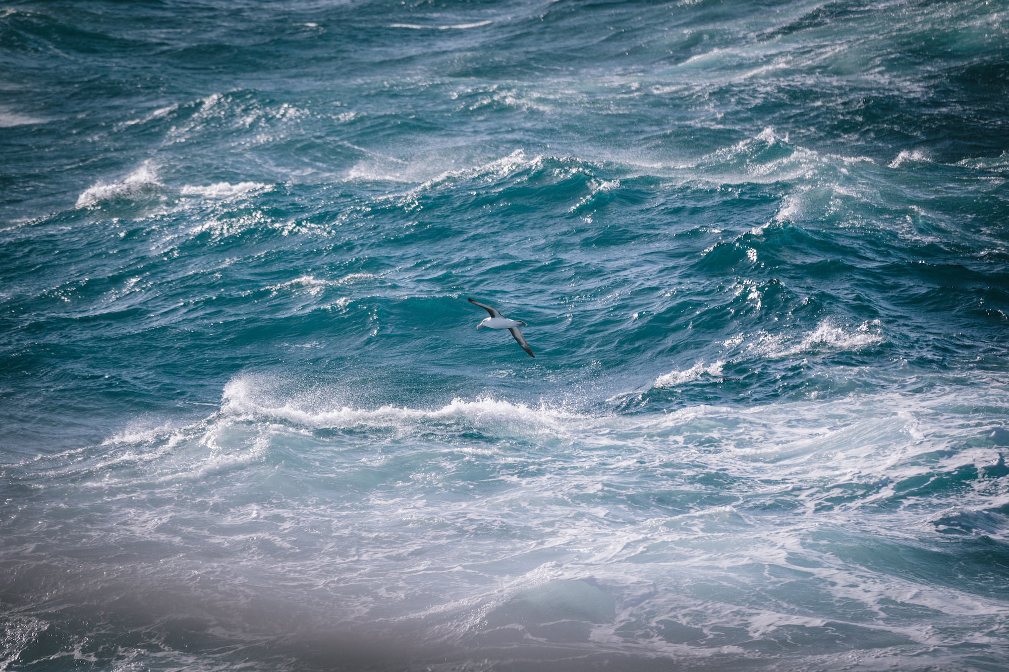 antarctica photos