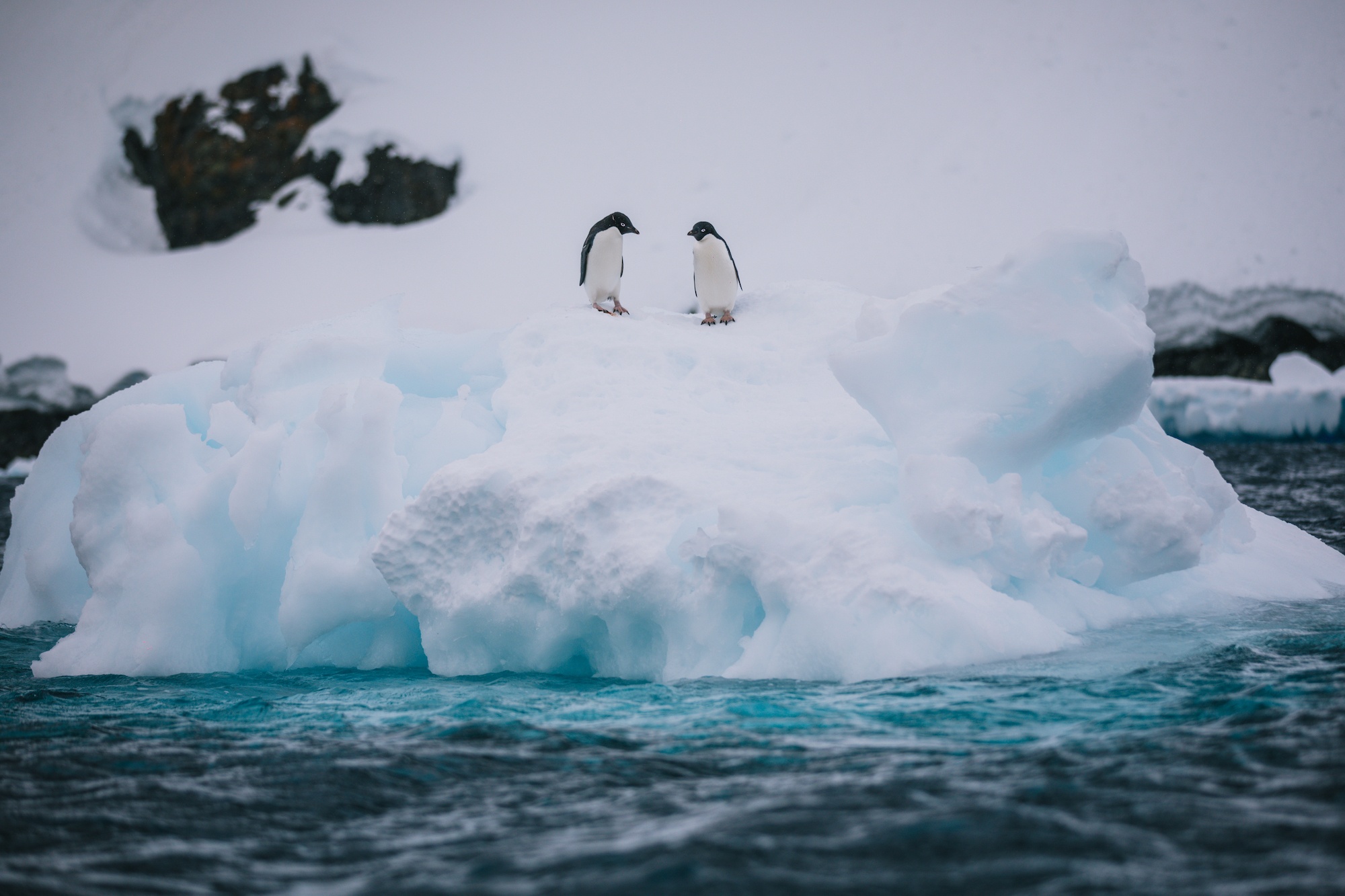 Antarctica is life-changing