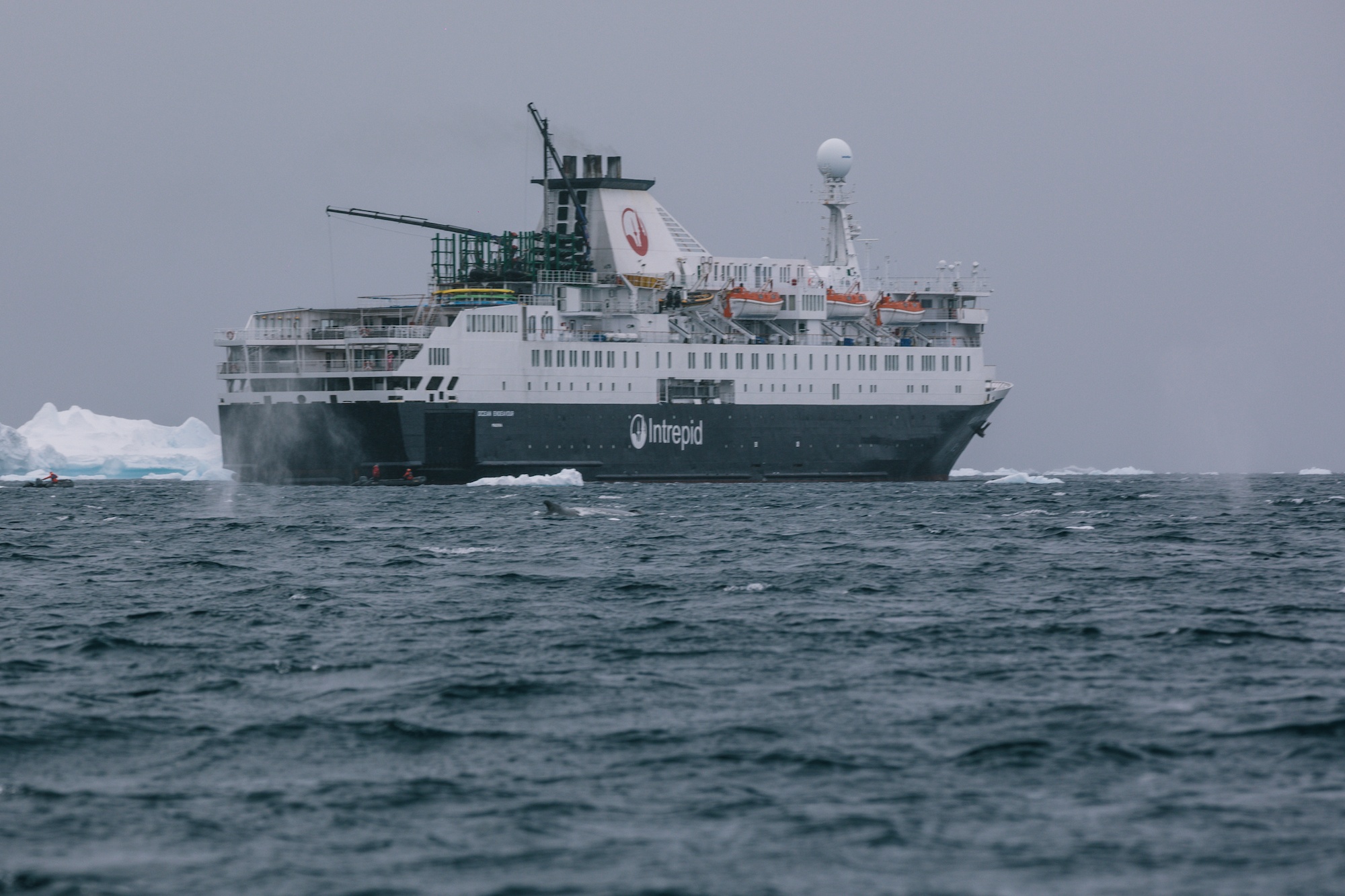 antarctica photos